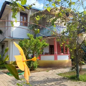 Pensión Johnson's - Ecohouseboat, Alappuzha